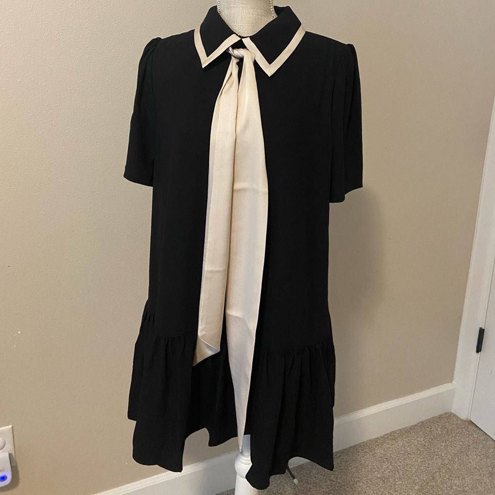 NWT collared babydoll dress.